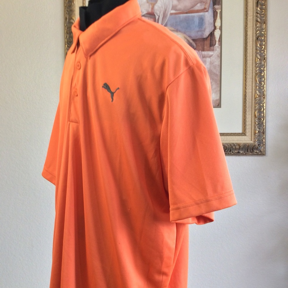 Puma - Picture 6 of 8